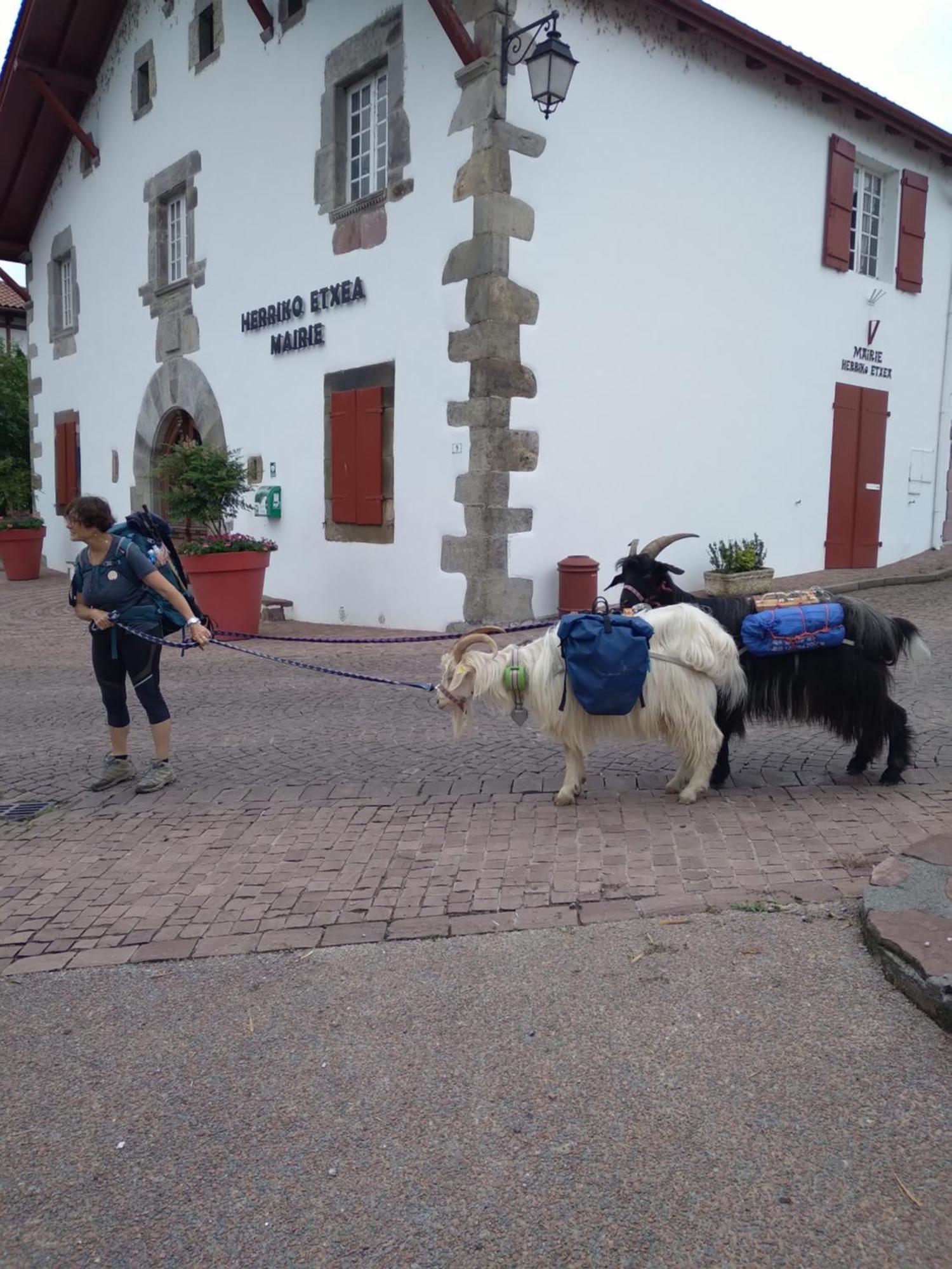 Hotel Camou Uhart-Cize Buitenkant foto